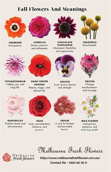 flowers meaning trust|37 Popular Flower Meanings .